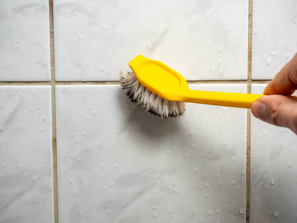 Reliable Warren Park, IN Mold Remediation Solutions