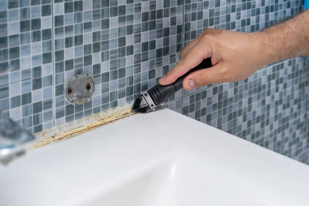 Best Black Mold Remediation in Warren Park, IN