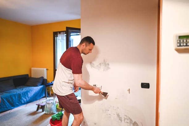 Best DIY Mold Remediation Support Services in Warren Park, IN